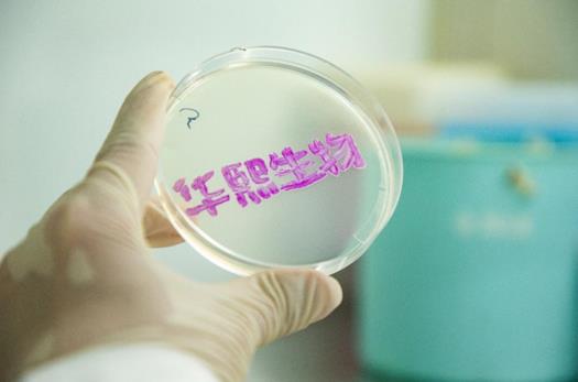 推動綠色發(fā)展 華熙生物以生物科技引領(lǐng)生產(chǎn)革命