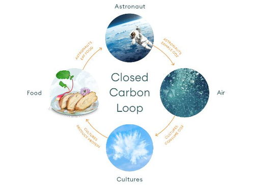 空氣造肉 生物技術顛覆食品科技，人類飲食革命或將開啟
